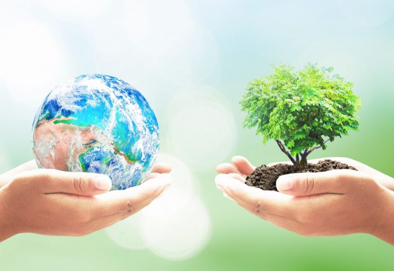 RECOMIENDAN ACTIVIDADES PARA CUIDAR EL MEDIO AMBIENTE DESDE CASA